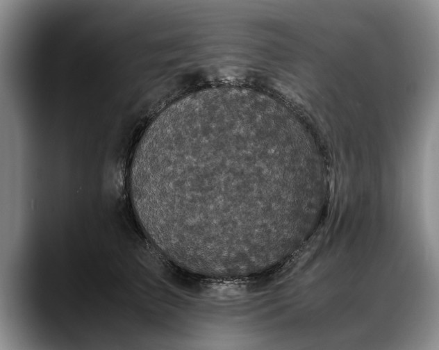 X0000088480709200705291627