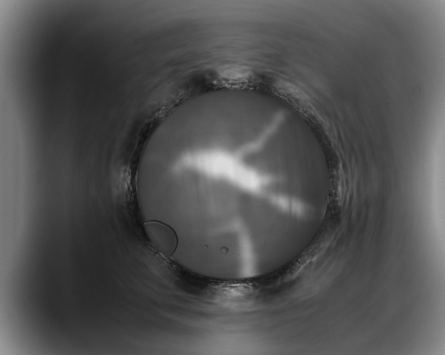 X0000088480711200705291627