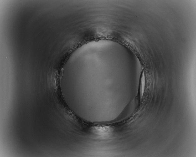 X0000088480712200705291627
