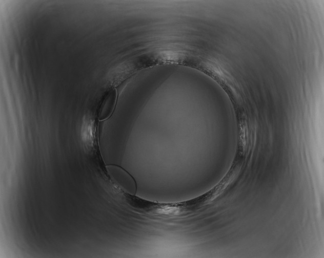 X0000088480718200705291627
