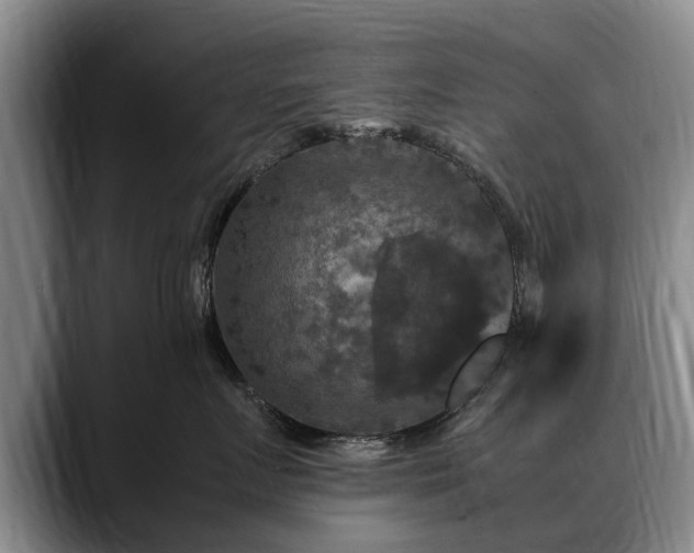 X0000088480719200705291627