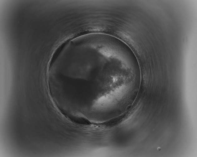 X0000088480721200705291627
