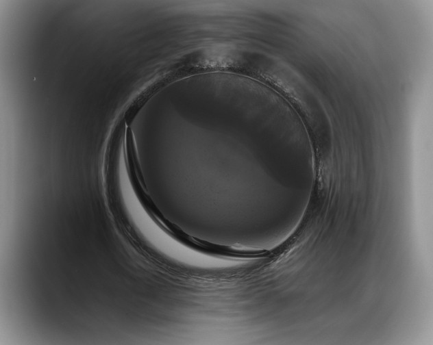 X0000088480722200705291627