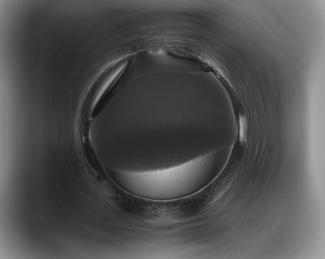 X0000088480723200705291627