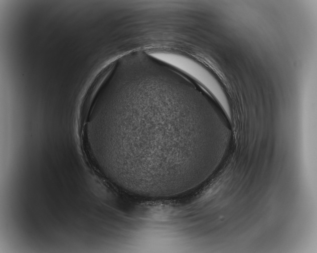 X0000088480724200705291627