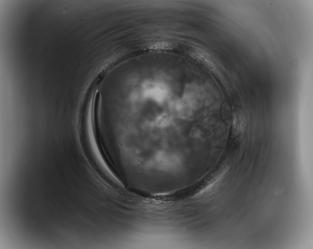 X0000088480725200705291627