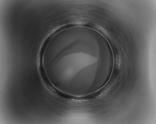 X0000088480726200705291627