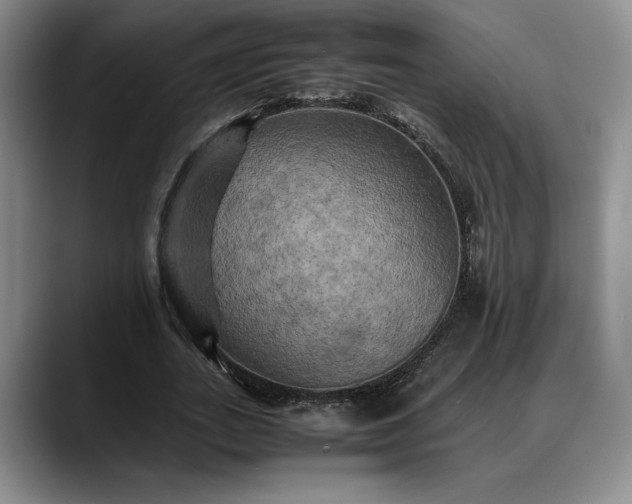 X0000088480727200705291627