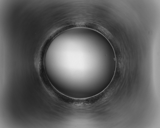 X0000088480728200705291627