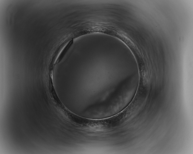 X0000088480729200705291627
