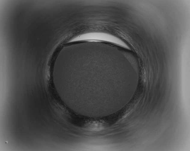 X0000088480731200705291627
