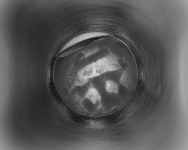 X0000088480733200705291627