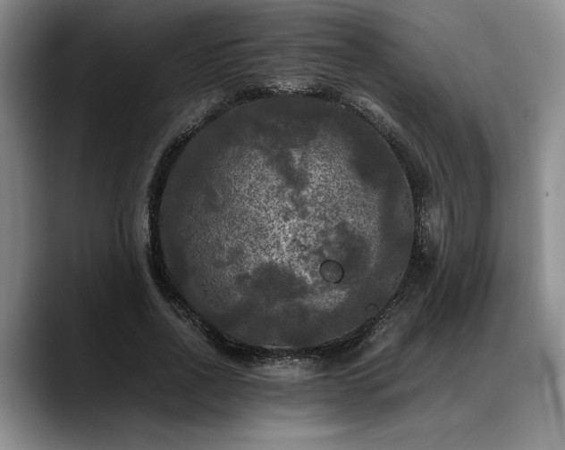 X0000088480734200705291627