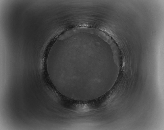 X0000088480735200705291627
