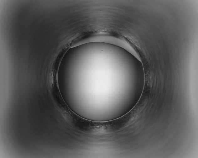 X0000088480740200705291627