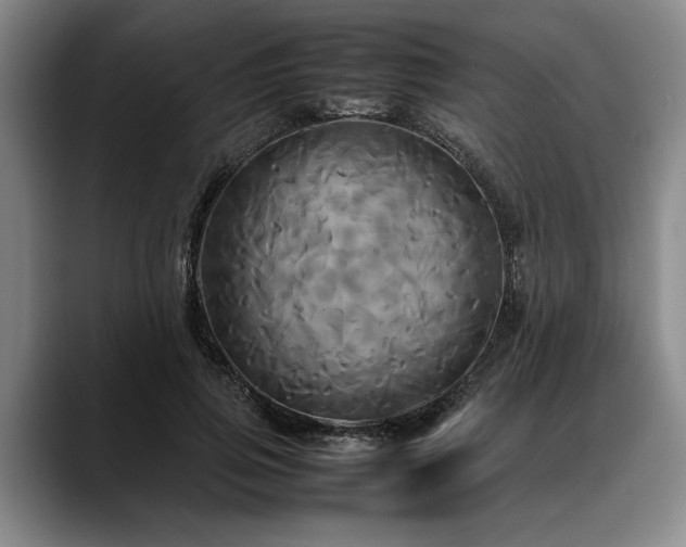 X0000088480741200705291627