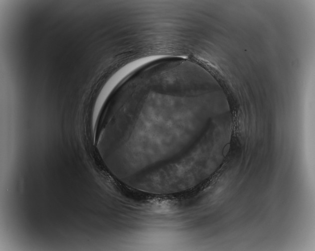 X0000088480742200705291627