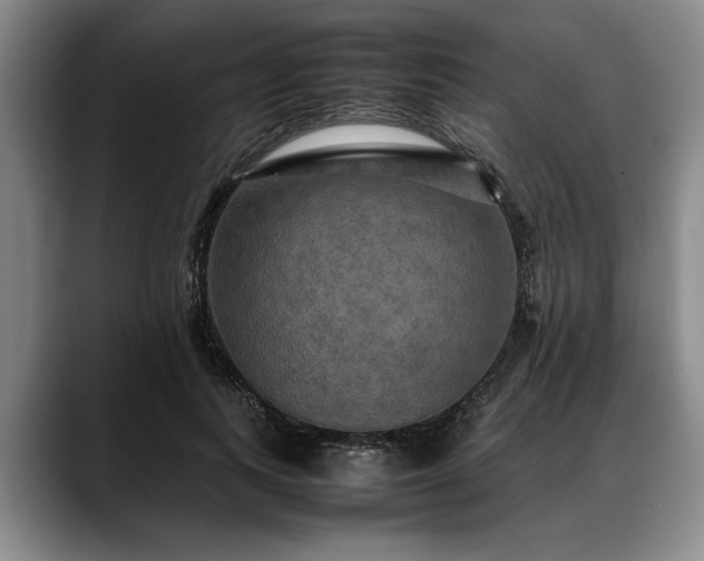 X0000088480743200705291627