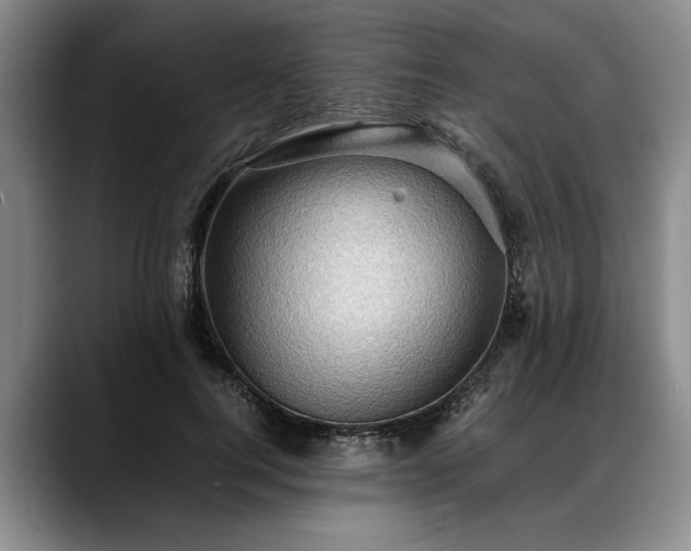 X0000088480744200705291627