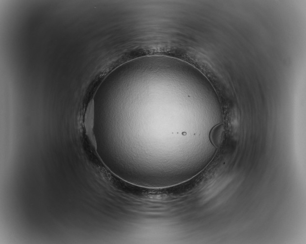 X0000088480746200705291627