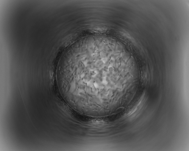 X0000088480749200705291627