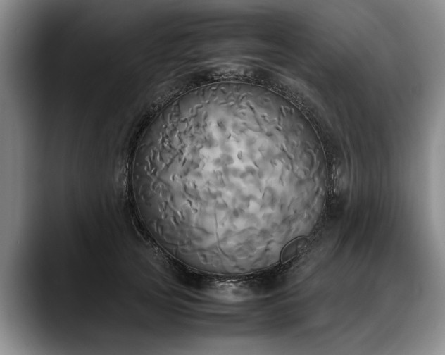 X0000088480753200705291627