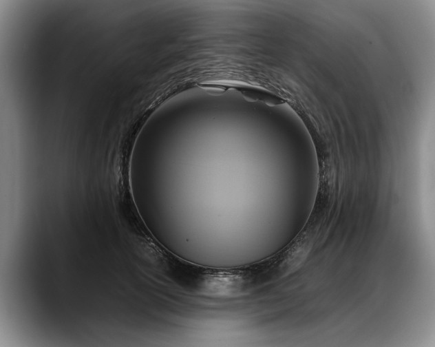 X0000088480754200705291627