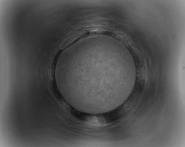 X0000088480755200705291627