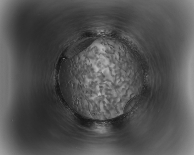 X0000088480757200705291627