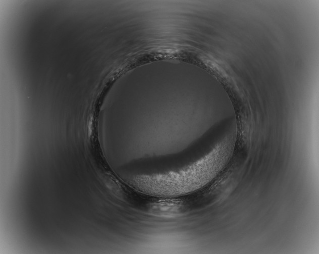 X0000088480758200705291627