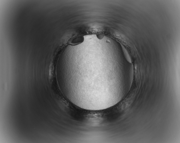X0000088480760200705291627