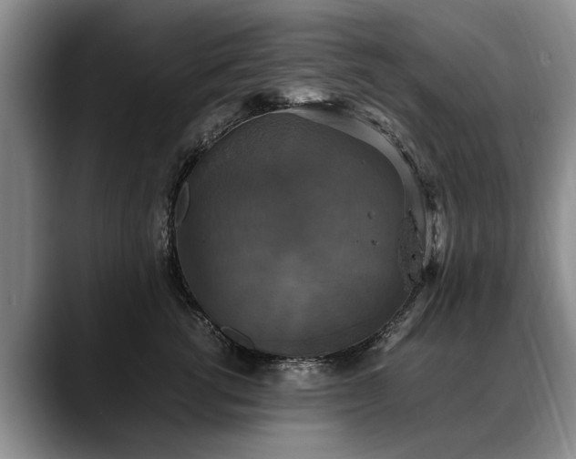 X0000088480762200705291627