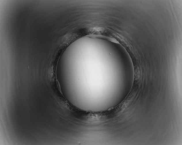 X0000088480764200705291627