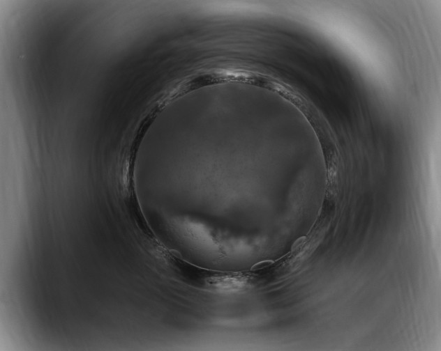 X0000088480765200705291627