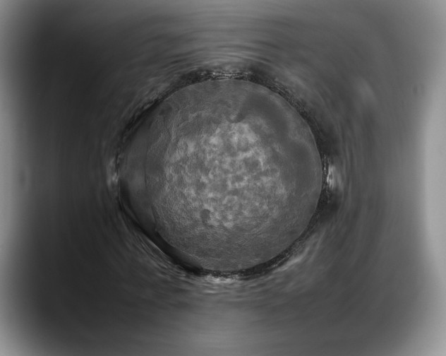 X0000088480771200705291627