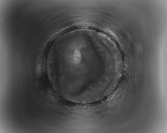 X0000088480775200705291627