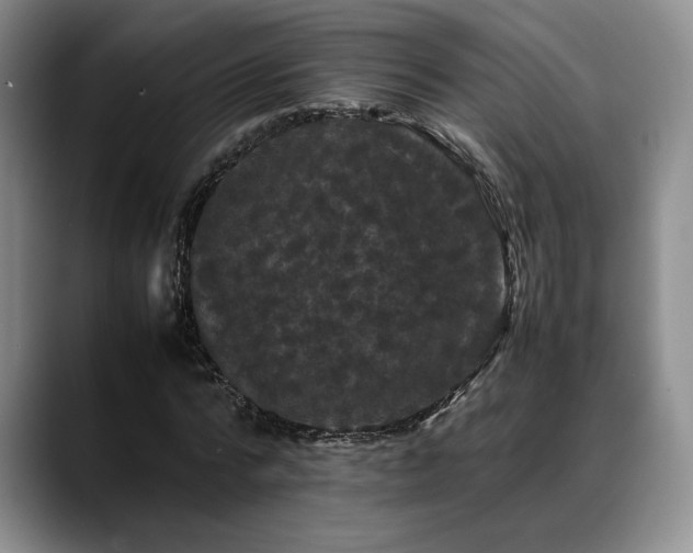 X0000088480776200705291627