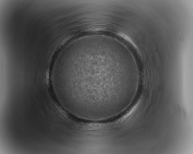 X0000088480777200705291626