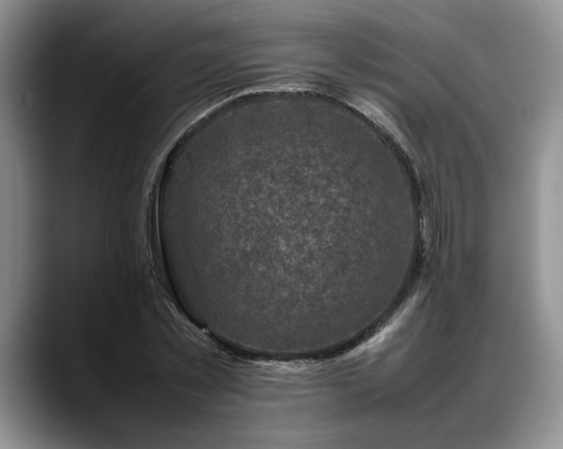 X0000088480781200705291626