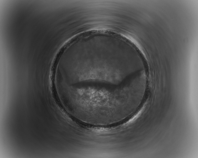 X0000088480783200705291626