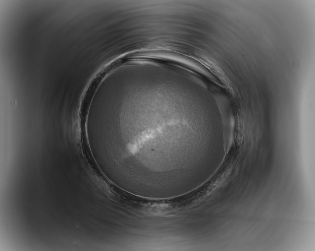 X0000088480784200705291626