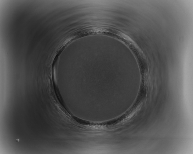 X0000088480785200705291626
