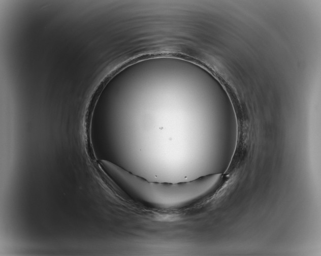 X0000088480789200705291626