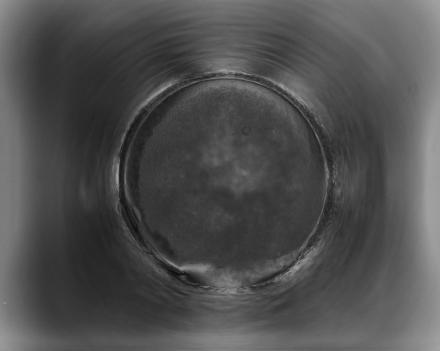 X0000088480790200705291626