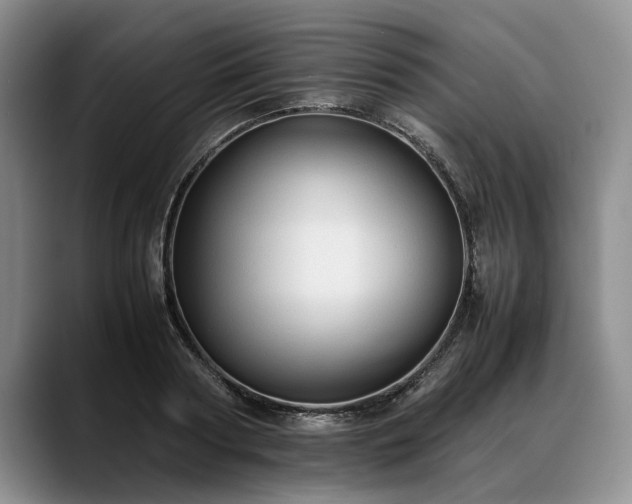 X0000088480794200705291626