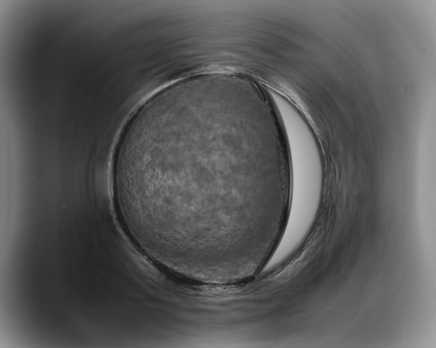 X0000088480795200705291626