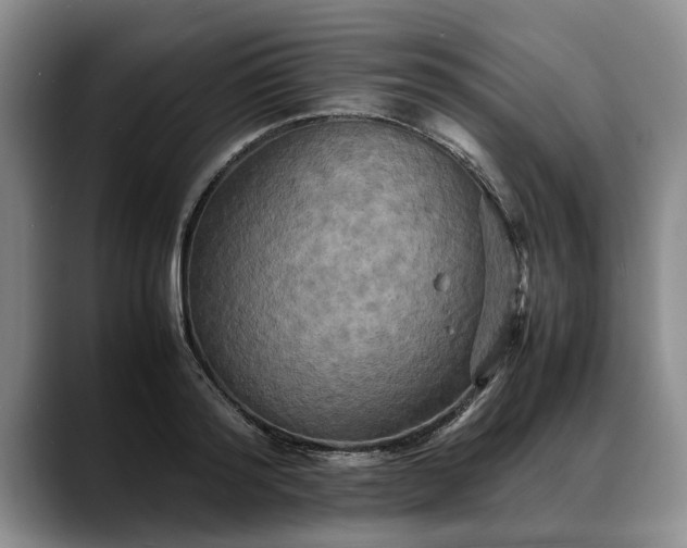X0000088480796200705291626