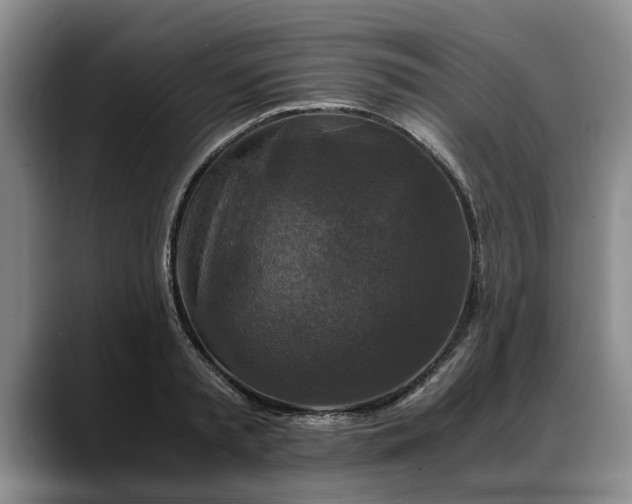 X0000088480797200705291626