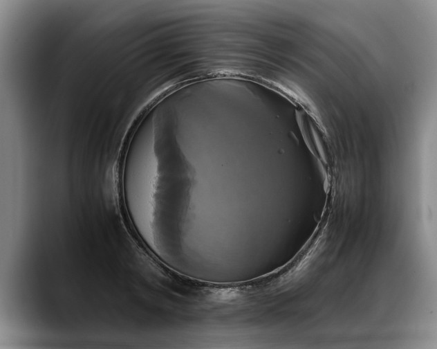 X0000088480798200705291626