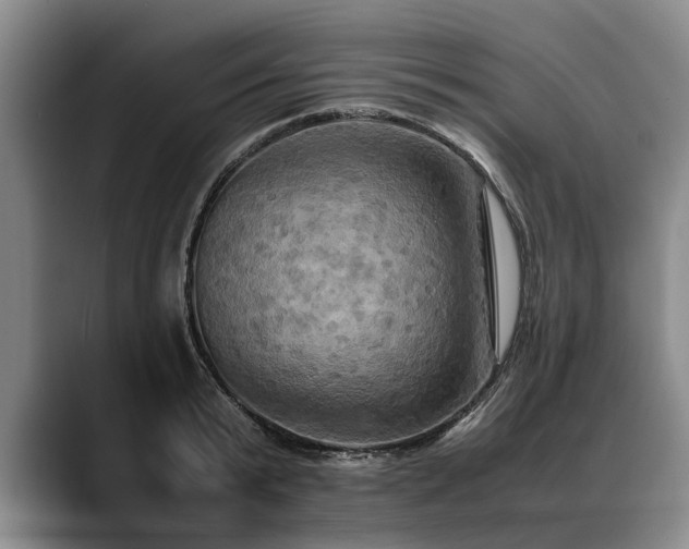 X0000088480799200705291626